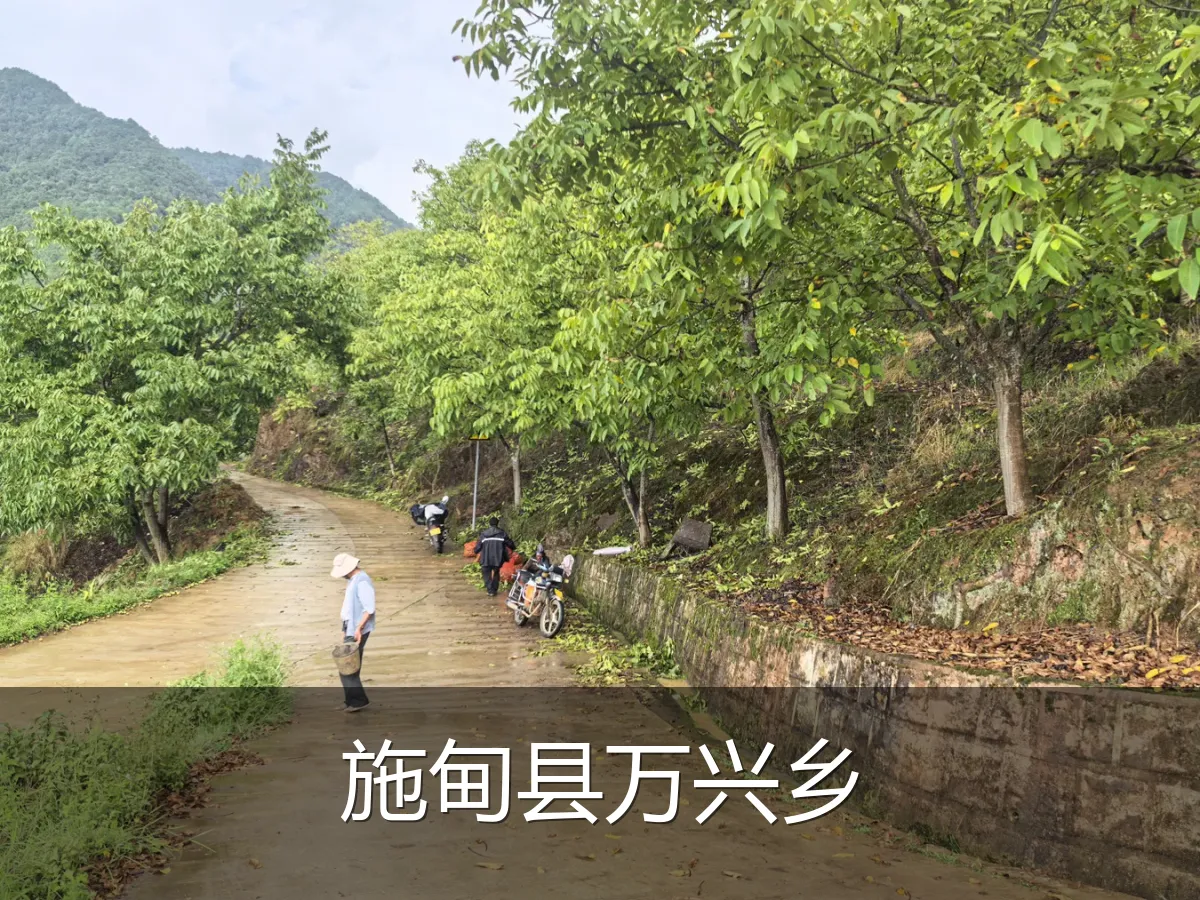 施甸县万兴乡